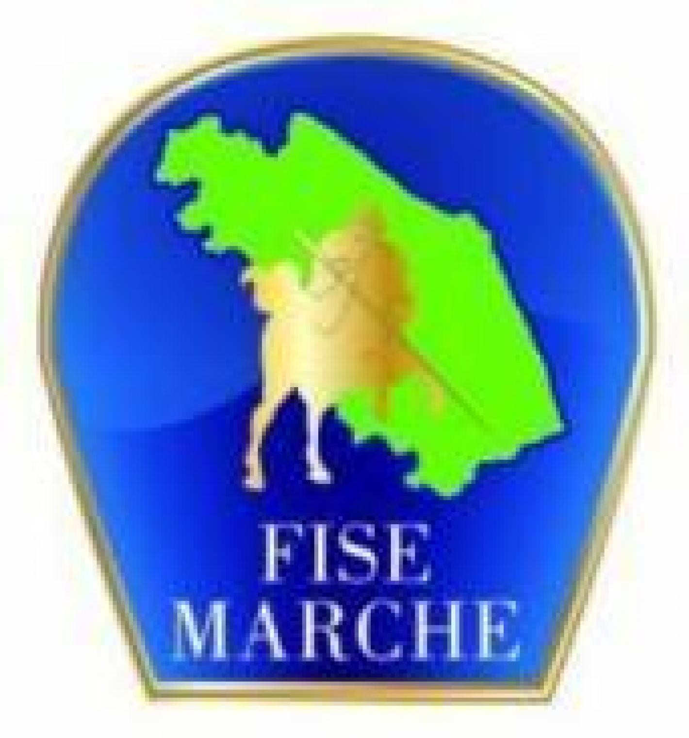 images/marche/SITO/medium/stemma FISE Marche.jpg